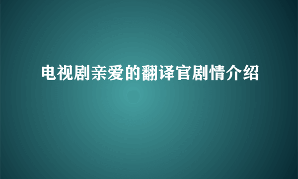 电视剧亲爱的翻译官剧情介绍