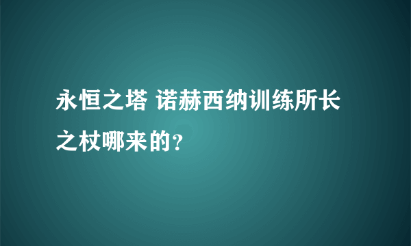 永恒之塔 诺赫西纳训练所长之杖哪来的？