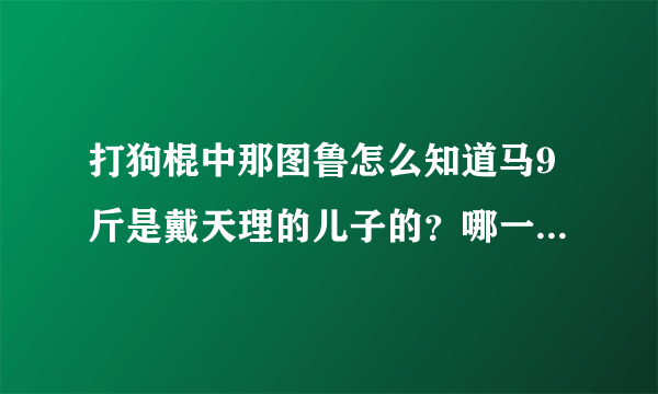 打狗棍中那图鲁怎么知道马9斤是戴天理的儿子的？哪一集知道的？？？