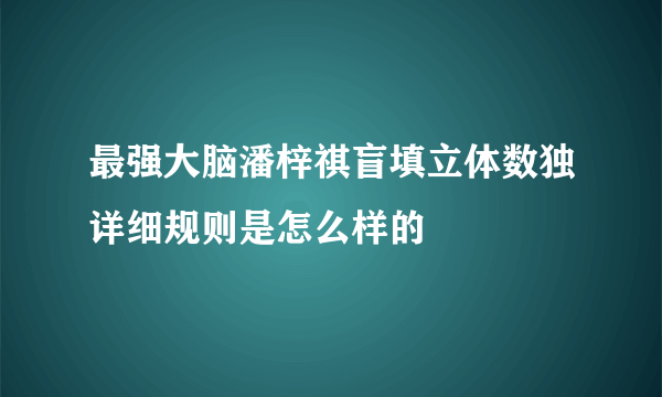 最强大脑潘梓祺盲填立体数独详细规则是怎么样的