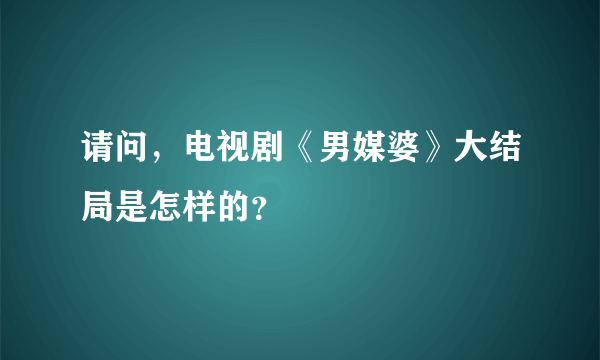 请问，电视剧《男媒婆》大结局是怎样的？