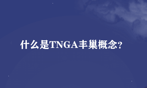 什么是TNGA丰巢概念？