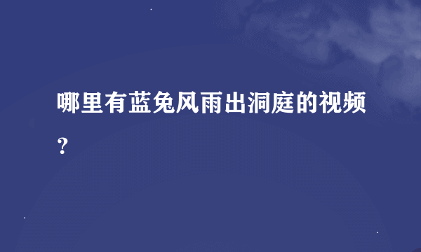 哪里有蓝兔风雨出洞庭的视频？