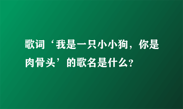 歌词‘我是一只小小狗，你是肉骨头’的歌名是什么？