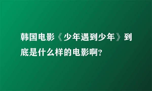 韩国电影《少年遇到少年》到底是什么样的电影啊？