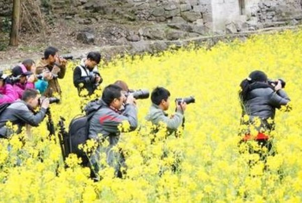 贵州油菜花景点叫什么？