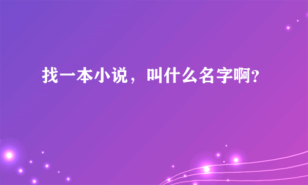 找一本小说，叫什么名字啊？