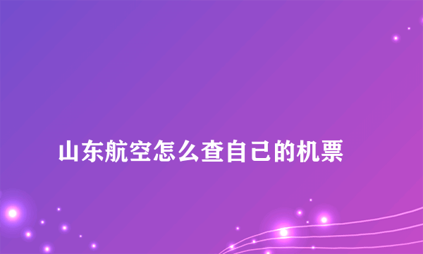 
山东航空怎么查自己的机票

