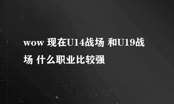 wow 现在U14战场 和U19战场 什么职业比较强