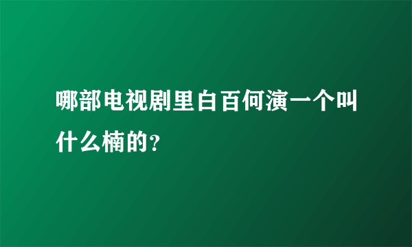 哪部电视剧里白百何演一个叫什么楠的？