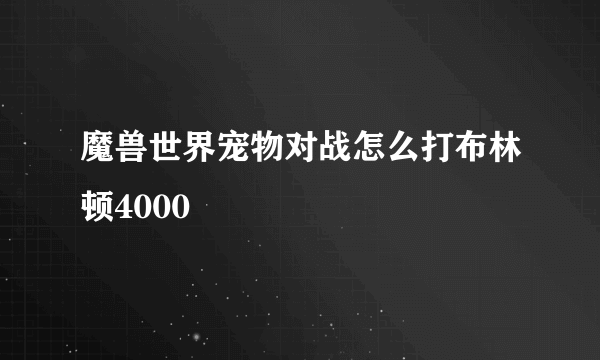 魔兽世界宠物对战怎么打布林顿4000