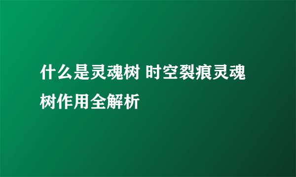 什么是灵魂树 时空裂痕灵魂树作用全解析