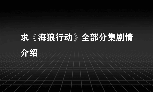 求《海狼行动》全部分集剧情介绍