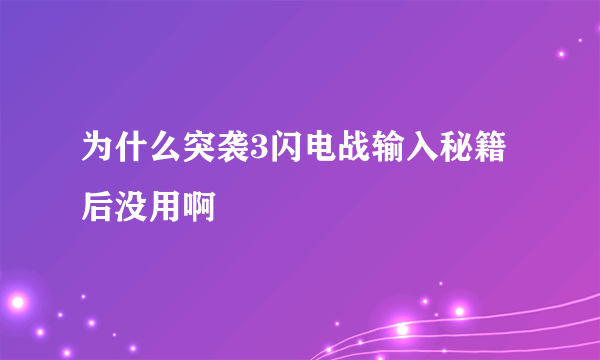 为什么突袭3闪电战输入秘籍后没用啊