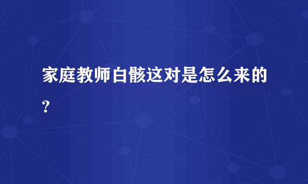 家庭教师白骸这对是怎么来的？