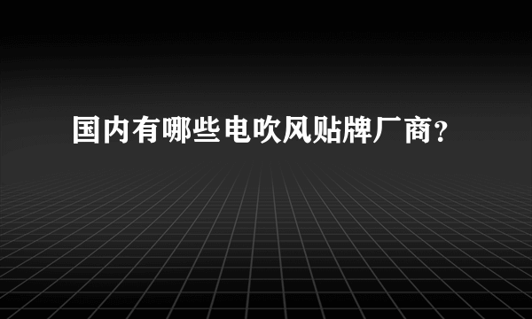 国内有哪些电吹风贴牌厂商？