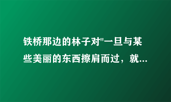 铁桥那边的林子对