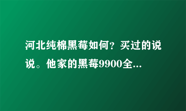 河北纯棉黑莓如何？买过的说说。他家的黑莓9900全新的1880