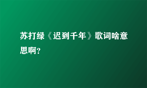 苏打绿《迟到千年》歌词啥意思啊？