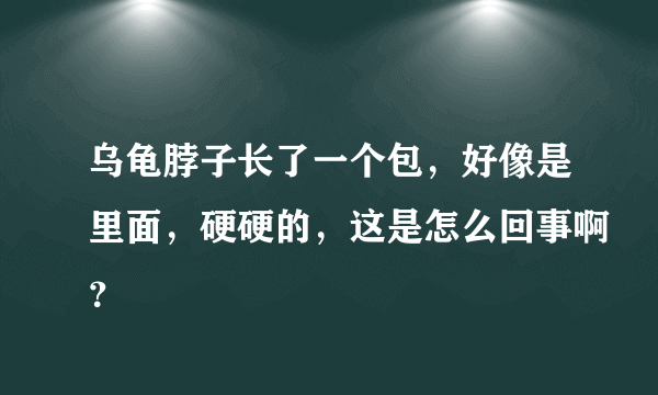 乌龟脖子长了一个包，好像是里面，硬硬的，这是怎么回事啊？