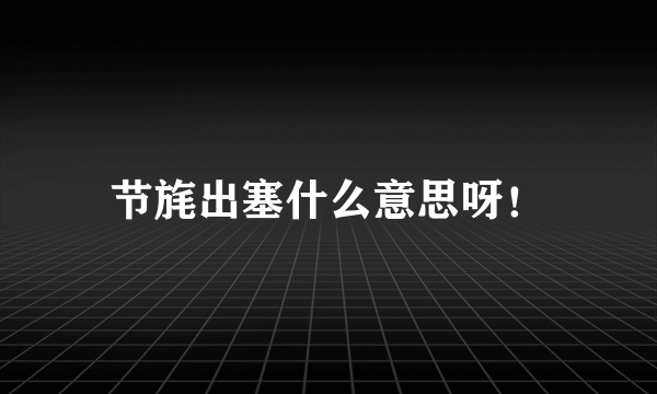 节旄出塞什么意思呀！