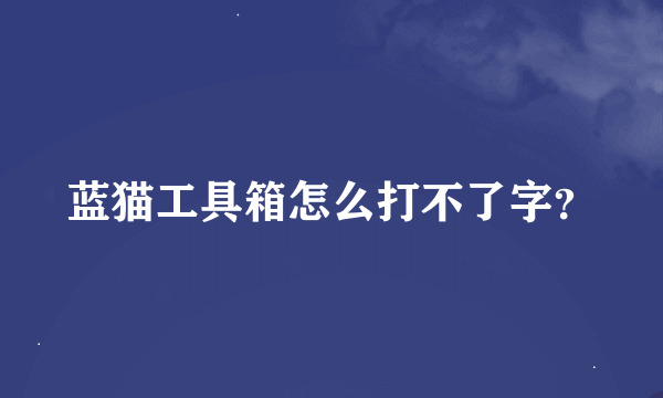 蓝猫工具箱怎么打不了字？