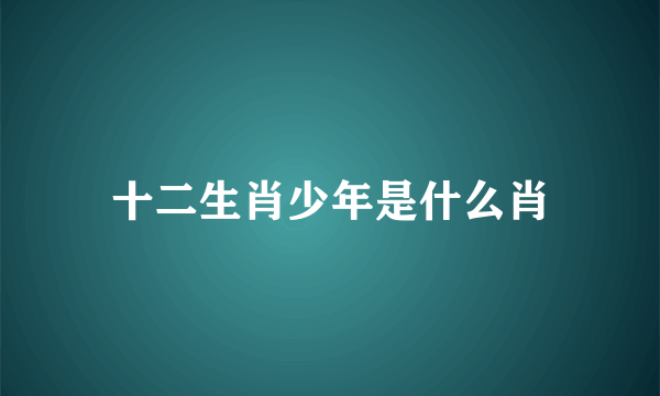 十二生肖少年是什么肖