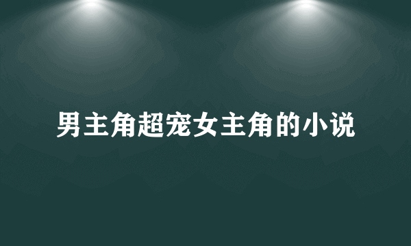 男主角超宠女主角的小说