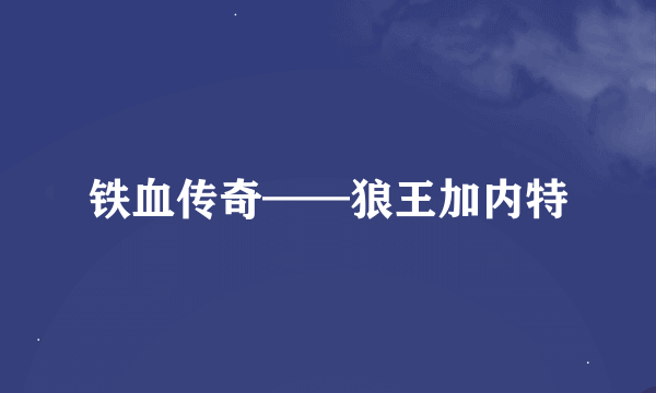 铁血传奇——狼王加内特