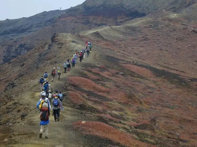 5名游客在攀登火山途中遇难，悲剧发生的主要原因是什么？