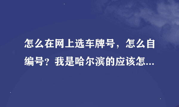 怎么在网上选车牌号，怎么自编号？我是哈尔滨的应该怎么弄。网址多少？