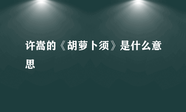 许嵩的《胡萝卜须》是什么意思