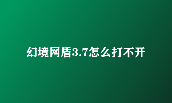 幻境网盾3.7怎么打不开