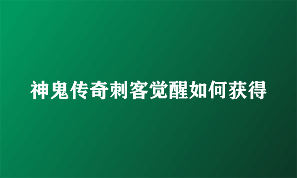 神鬼传奇刺客觉醒如何获得