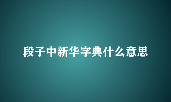 段子中新华字典什么意思