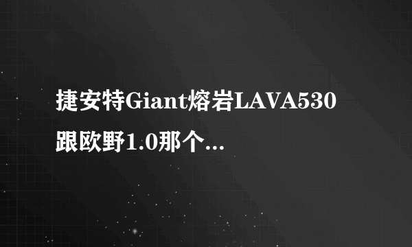 捷安特Giant熔岩LAVA530跟欧野1.0那个性价比好如题 谢谢了