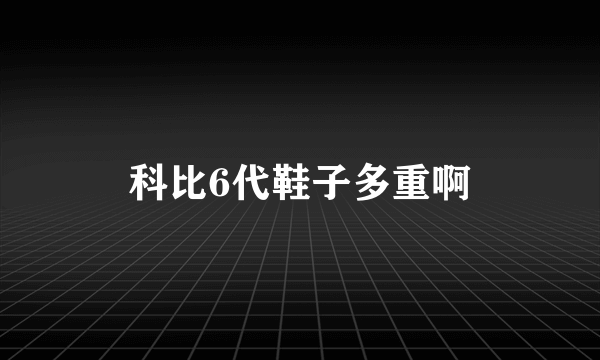 科比6代鞋子多重啊