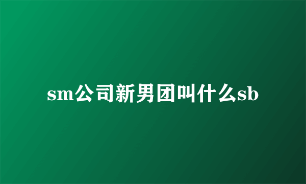 sm公司新男团叫什么sb