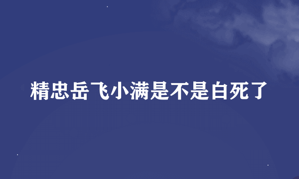 精忠岳飞小满是不是白死了