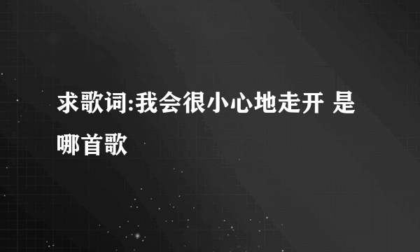 求歌词:我会很小心地走开 是哪首歌