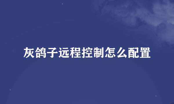 灰鸽子远程控制怎么配置