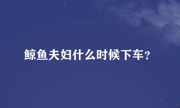 鲸鱼夫妇什么时候下车？