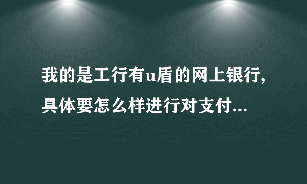 我的是工行有u盾的网上银行,具体要怎么样进行对支付宝的充值？