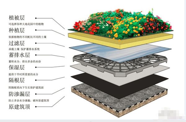 屋面绿化排水要怎么做