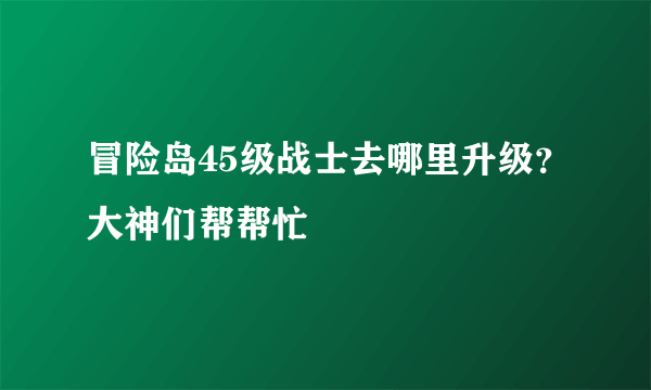 冒险岛45级战士去哪里升级？大神们帮帮忙