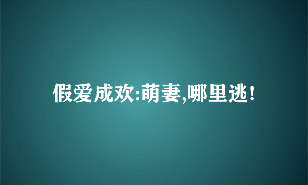 假爱成欢:萌妻,哪里逃!