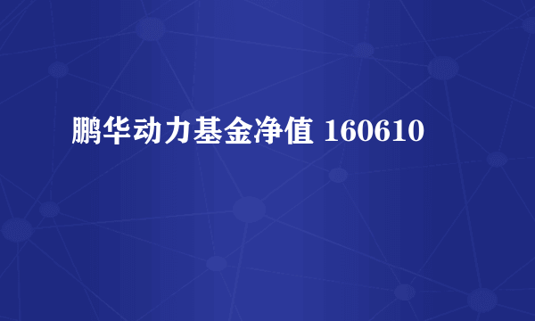 鹏华动力基金净值 160610