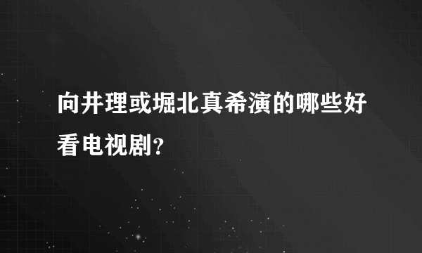 向井理或堀北真希演的哪些好看电视剧？