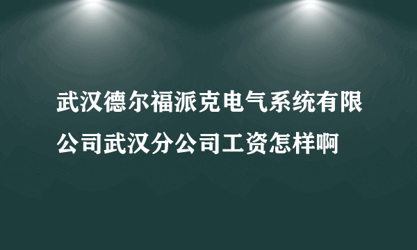 武汉德尔福派克电气系统有限公司武汉分公司工资怎样啊