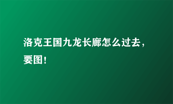 洛克王国九龙长廊怎么过去，要图！